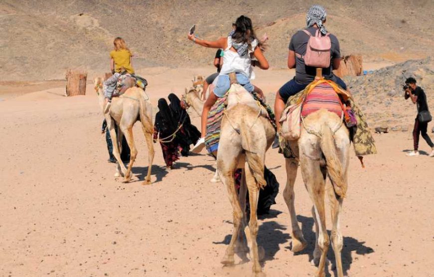 Sunset Quad Bike & Camel Ride in Hurghada – 3-Hour Desert Safari 2
