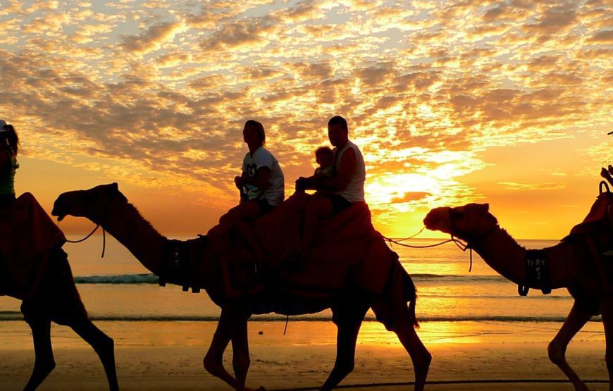 Sunset Quad Bike & Camel Ride in Hurghada – 3-Hour Desert Safari