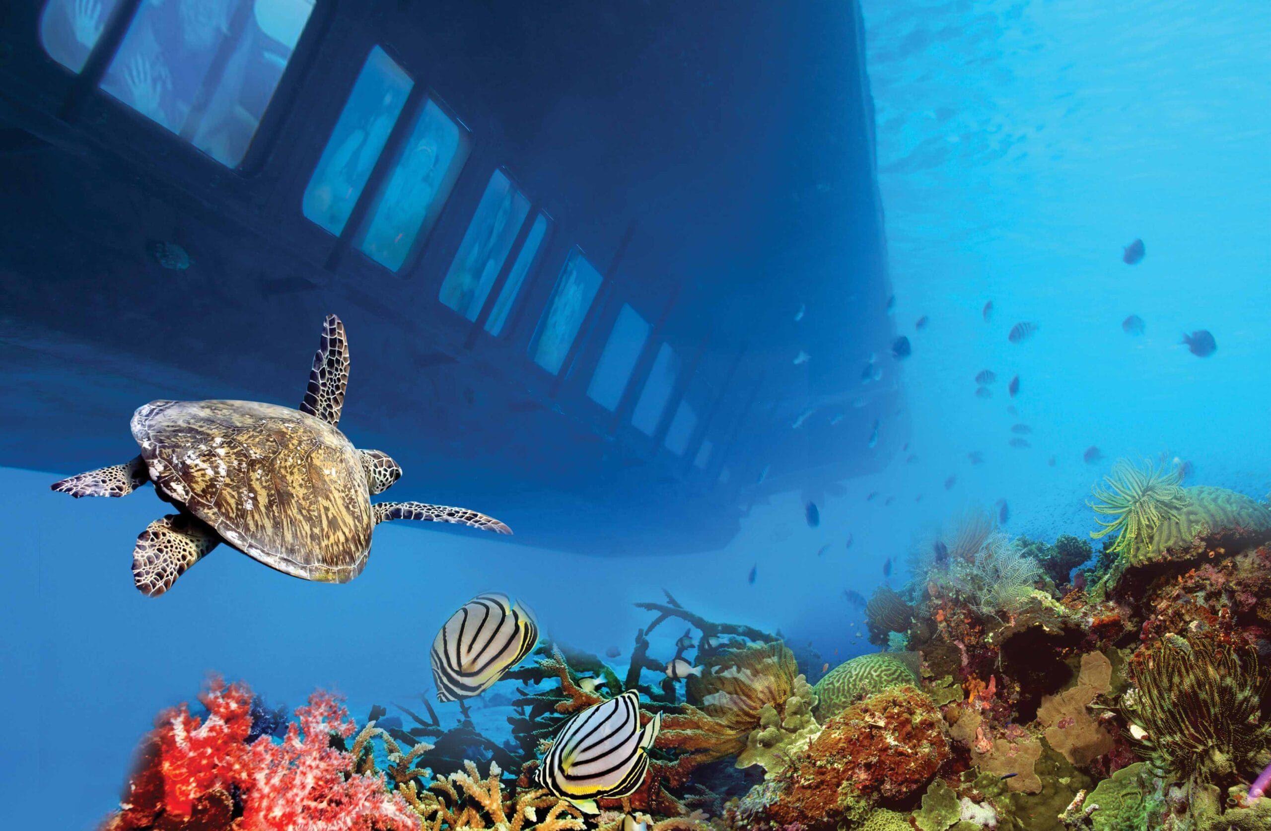 Hurghada Semi-Submarine Adventure with Snorkeling 3