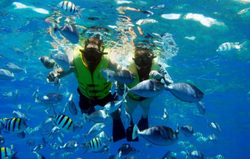 Paradise Island Snorkeling Tour from Hurghada 4