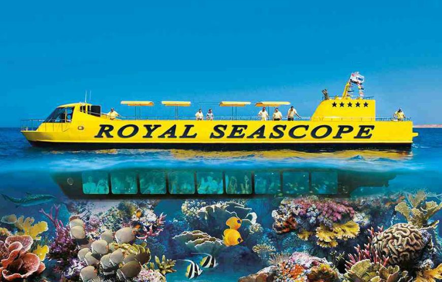 Red Sea Submarine Tour in Hurghada 4