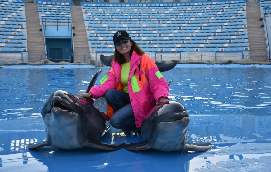 Hurghada Dolphin Show Experience 2