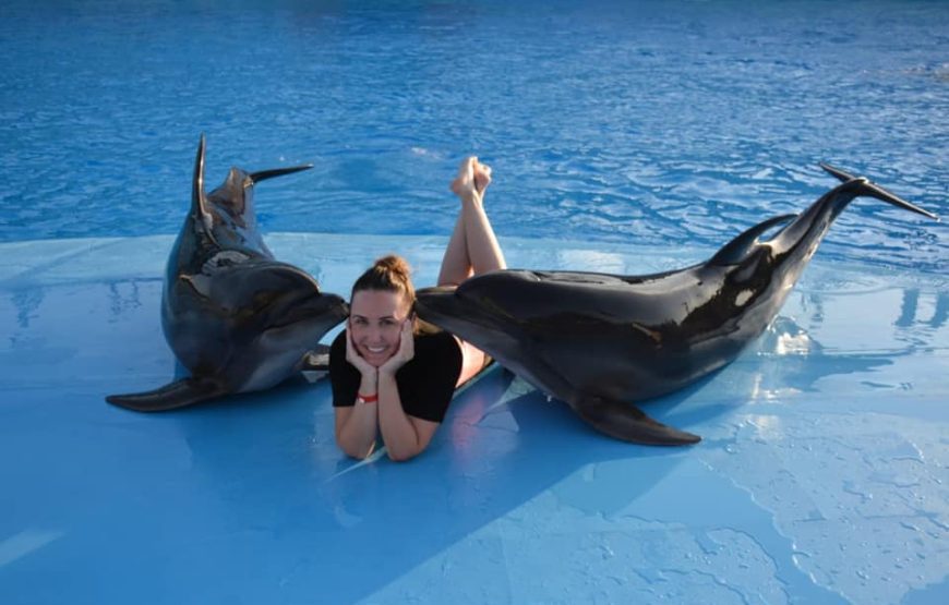 Hurghada Dolphin Show Experience 4