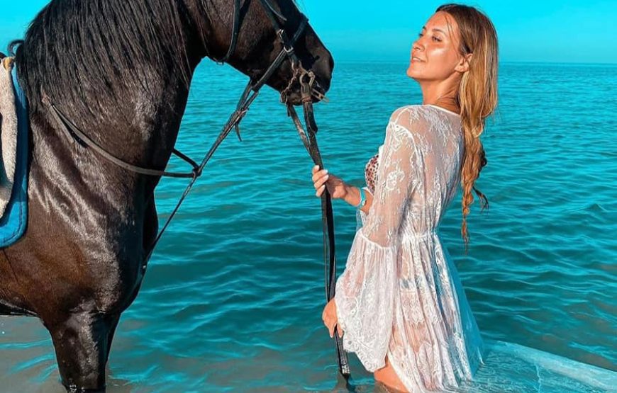 Sea & Desert Horse Riding Adventure in Hurghada