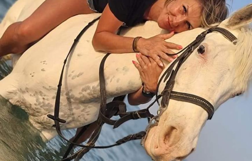 Sea & Desert Horse Riding Adventure in Hurghada 3
