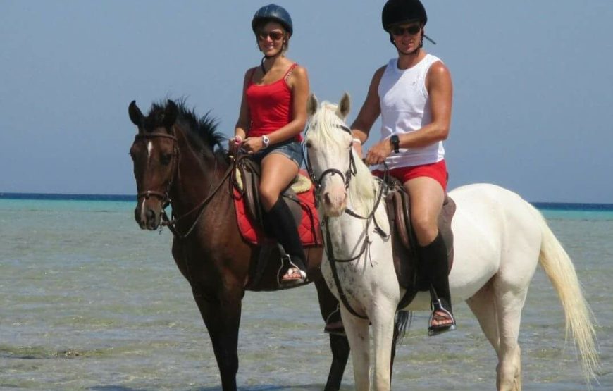Sea & Desert Horse Riding Adventure in Hurghada 4
