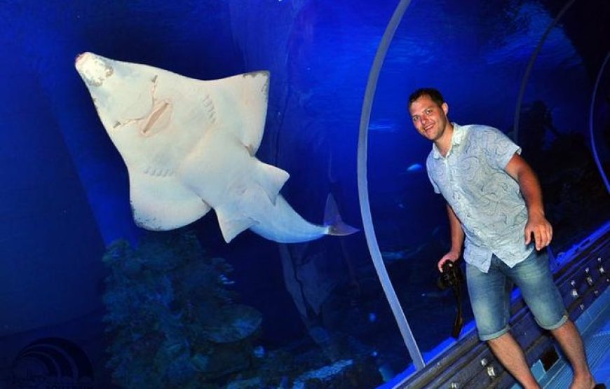 Hurghada Grand Aquarium Tour with Tickets & Transfers 2