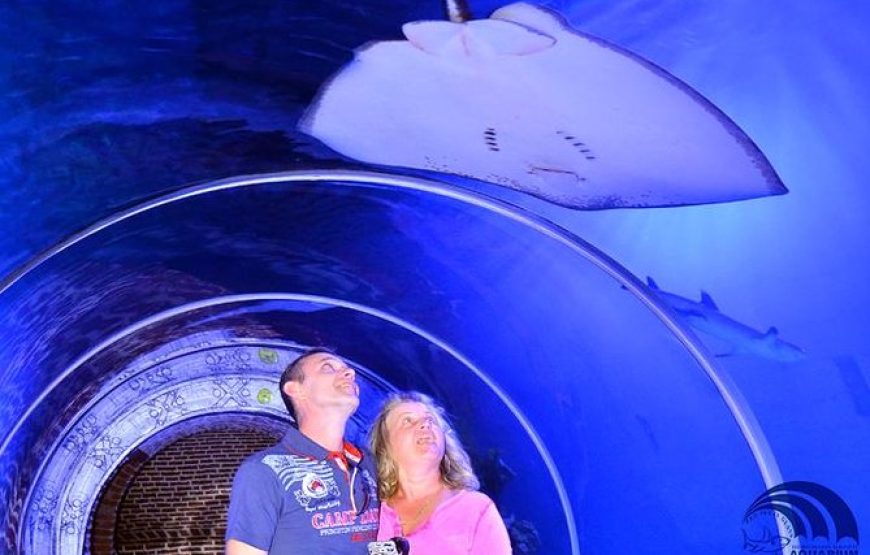 Hurghada Grand Aquarium Tour with Tickets & Transfers 4