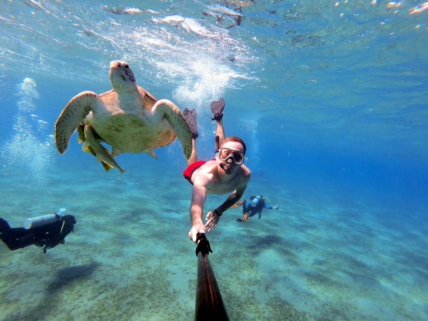 Snorkelers above a Red Sea coral reef Snorkelers above a Red Sea coral reef
