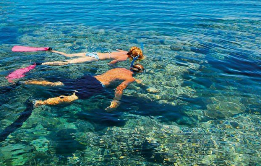 Snorkelers above a Red Sea coral reef