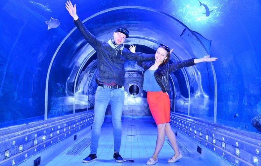Visitors watching marine life inside an aquarium
