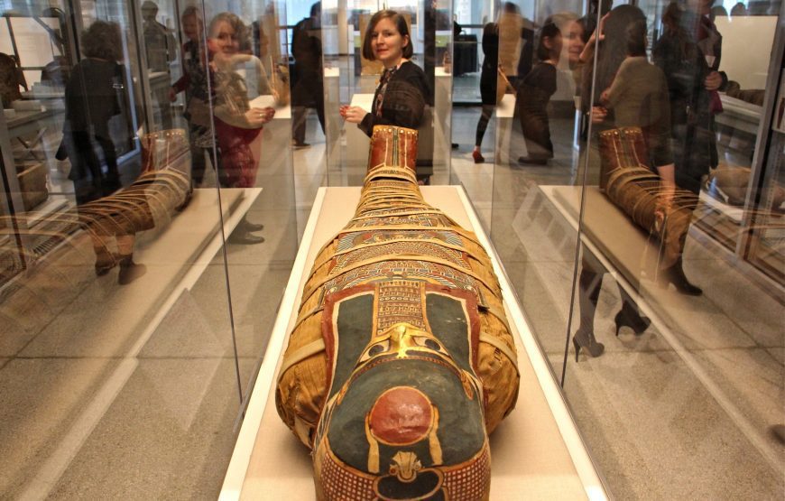 Museum display or monumental cultural building containing Egyptian antiquities Egyptian antiquities displayed inside a museum