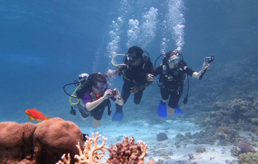 Scuba divers underwater in clear Red Sea water Scuba divers exploring the Red Sea — Practical choices to consider