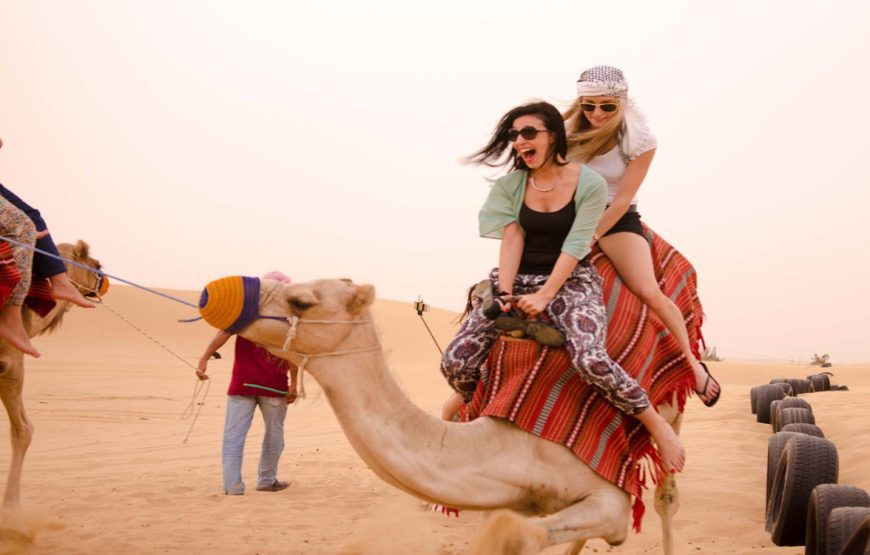 Travellers riding animals during an Egyptian excursion Travellers riding animals during an Egyptian excursion