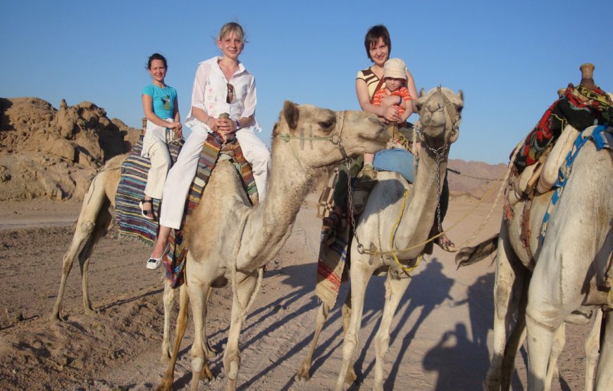 Travellers riding animals during an Egyptian excursion Travellers riding animals during an Egyptian excursion