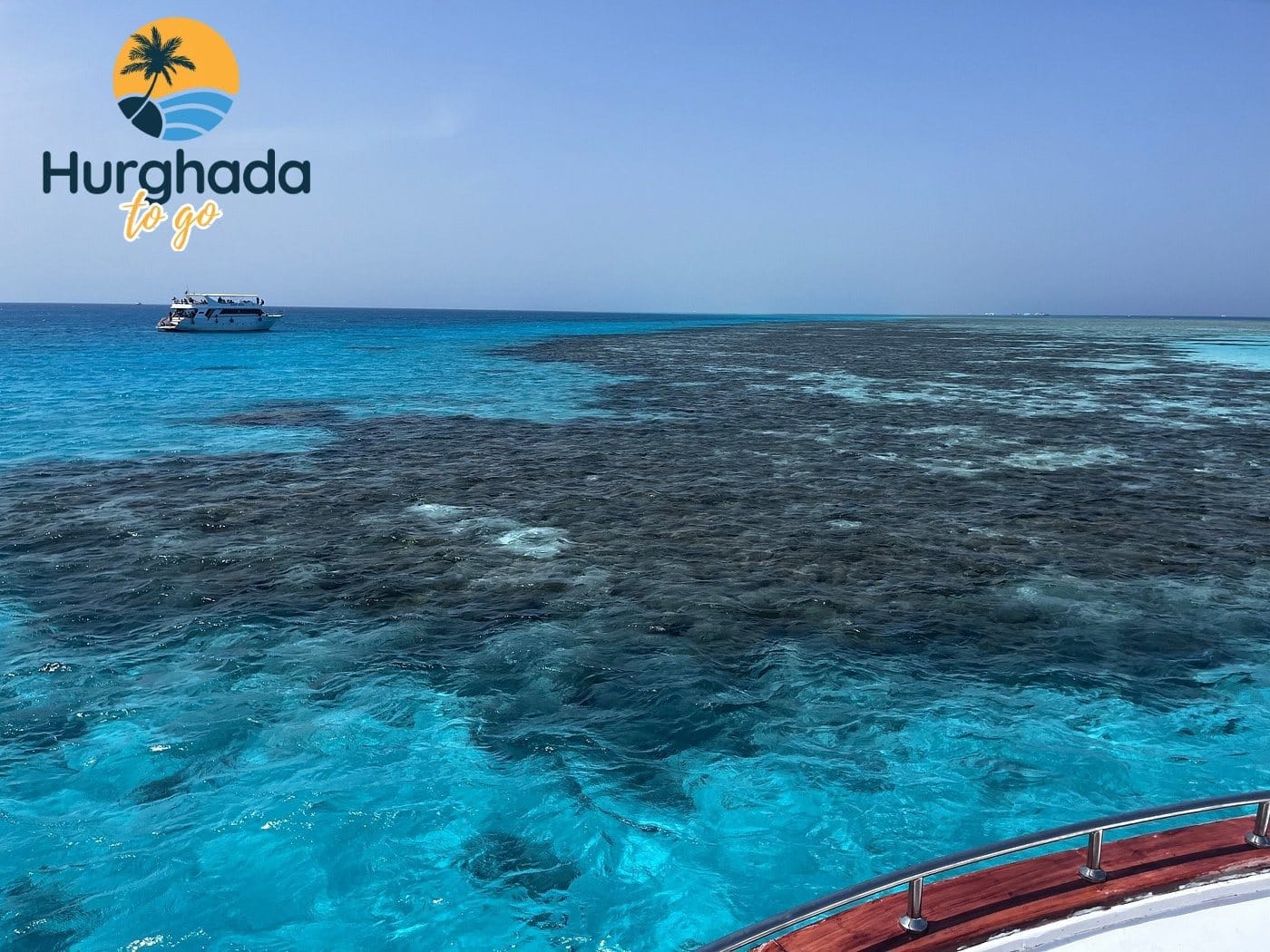 Snorkelers above a Red Sea coral reef
