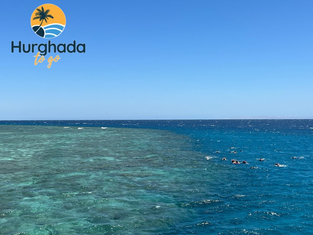 Snorkelers above a Red Sea coral reef