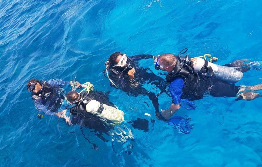 Scuba divers swimming in clear Red Sea water Scuba divers swimming in clear Red Sea water