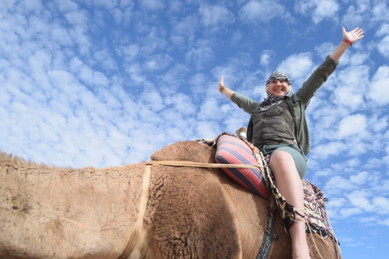 Voyageurs à dos de chameau ou à cheval dans un décor désertique ou côtier Voyageurs à dos d’animaux lors d’une excursion en Égypte — Questions pratiques