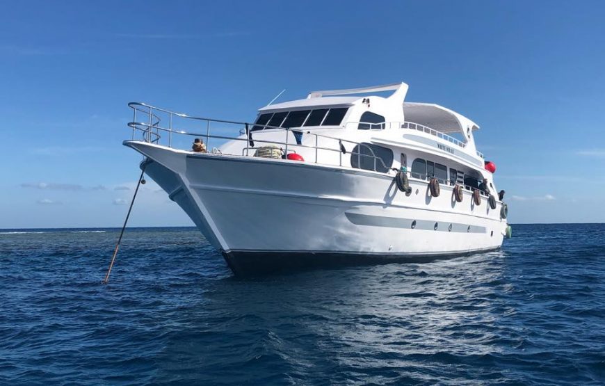 Excursion boat travelling across Egyptian coastal waters Excursion boat travelling across Egyptian coastal waters