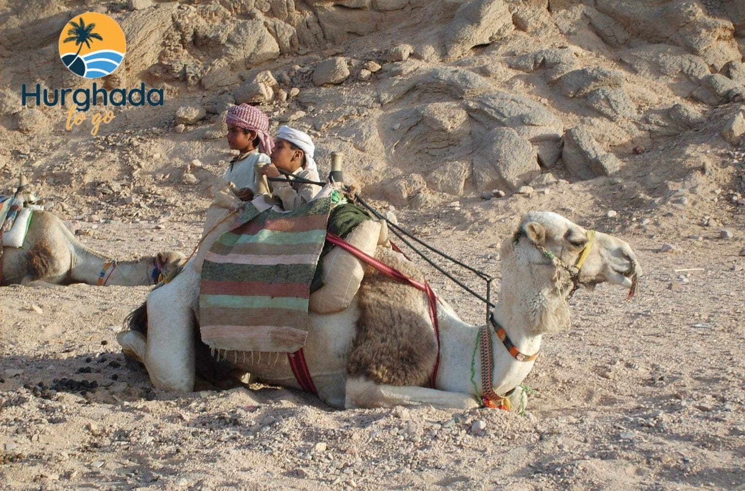 Travellers riding camels during an Egyptian desert excursion