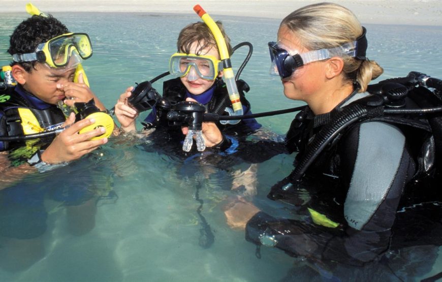 Scuba divers in the Red Sea