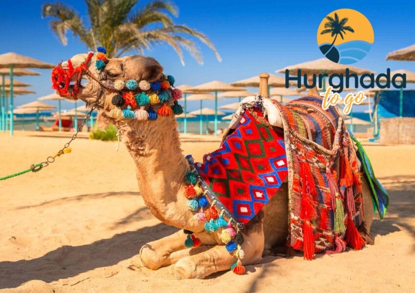 7 Hidden Gems in Hurghada That Most Tourists Never See