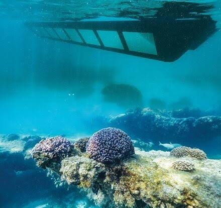 Semi-Submarine Hurghada & Snorkeling Adventure