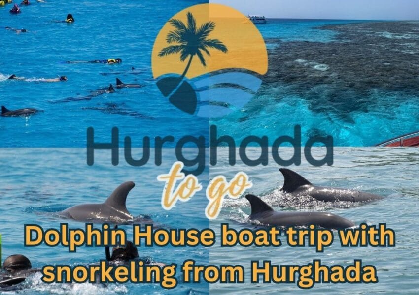 Dolphin House Boat Trip and Snorkeling from Hurghada