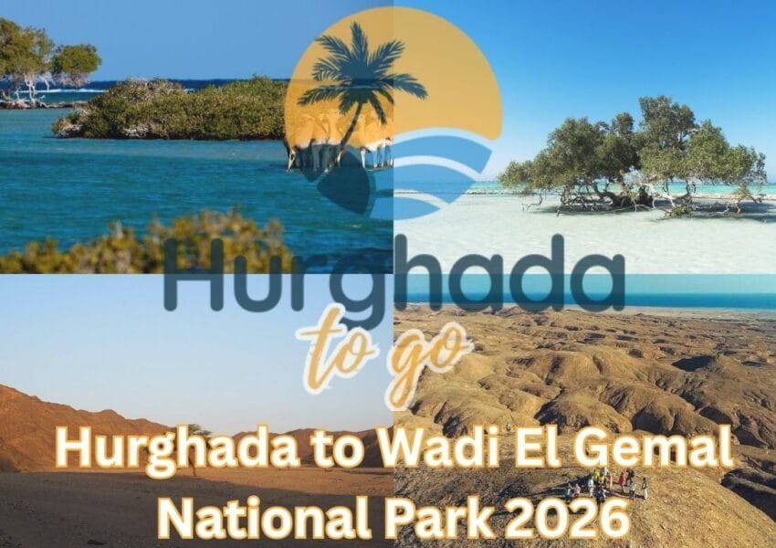 Hurghada to Wadi El Gemal National Park: Desert, Coast and Heritage