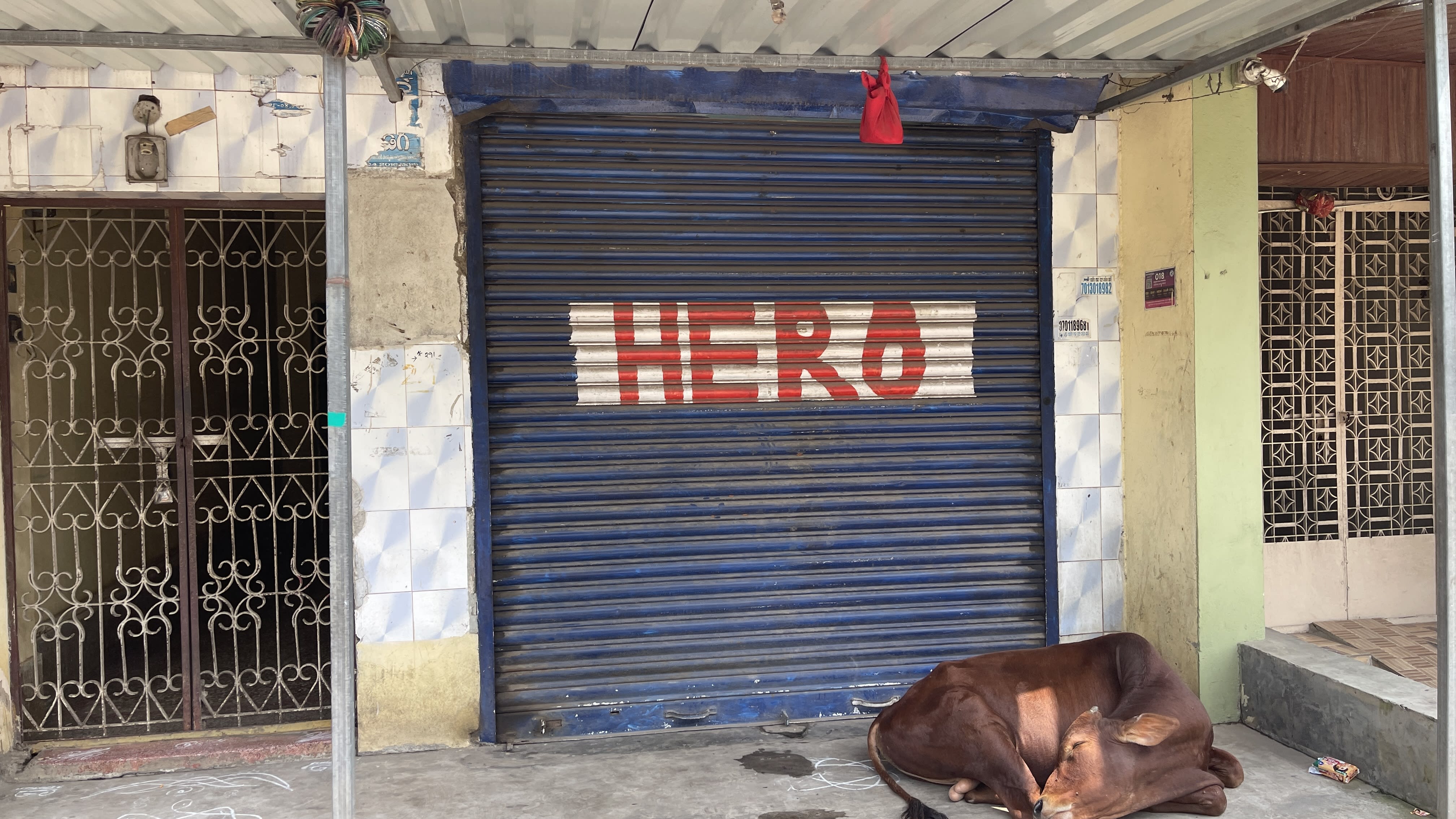 12/12 Shop for rent photo 1