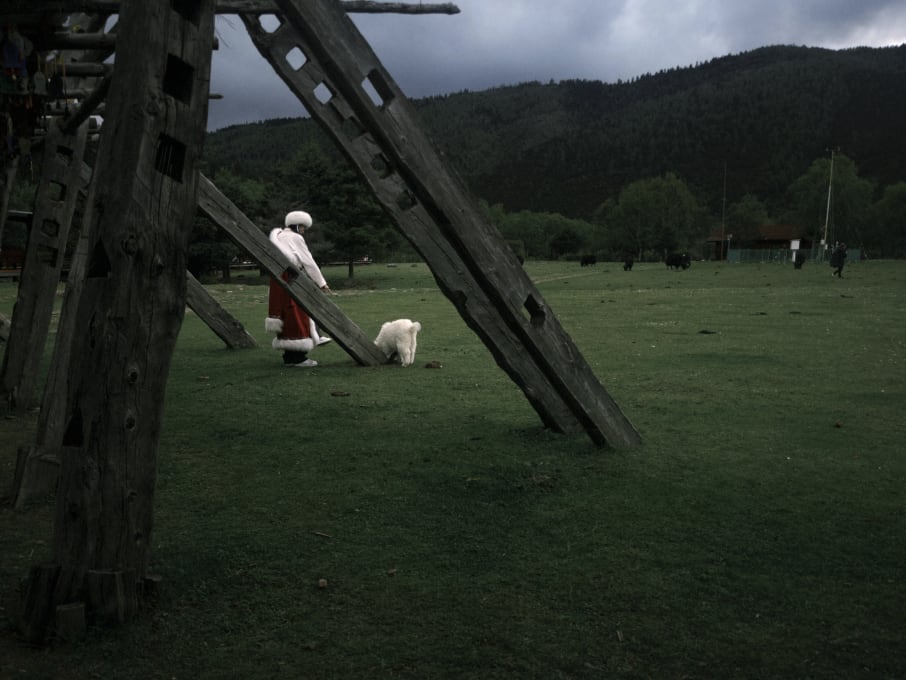 Photo 15