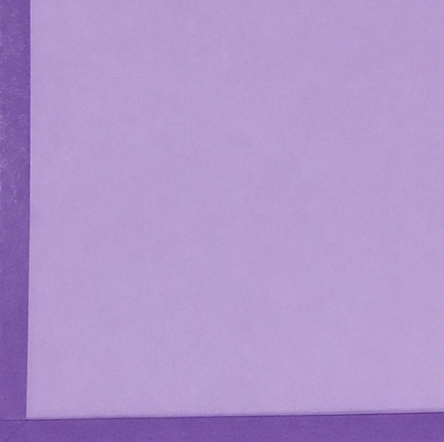 Lila borde morado