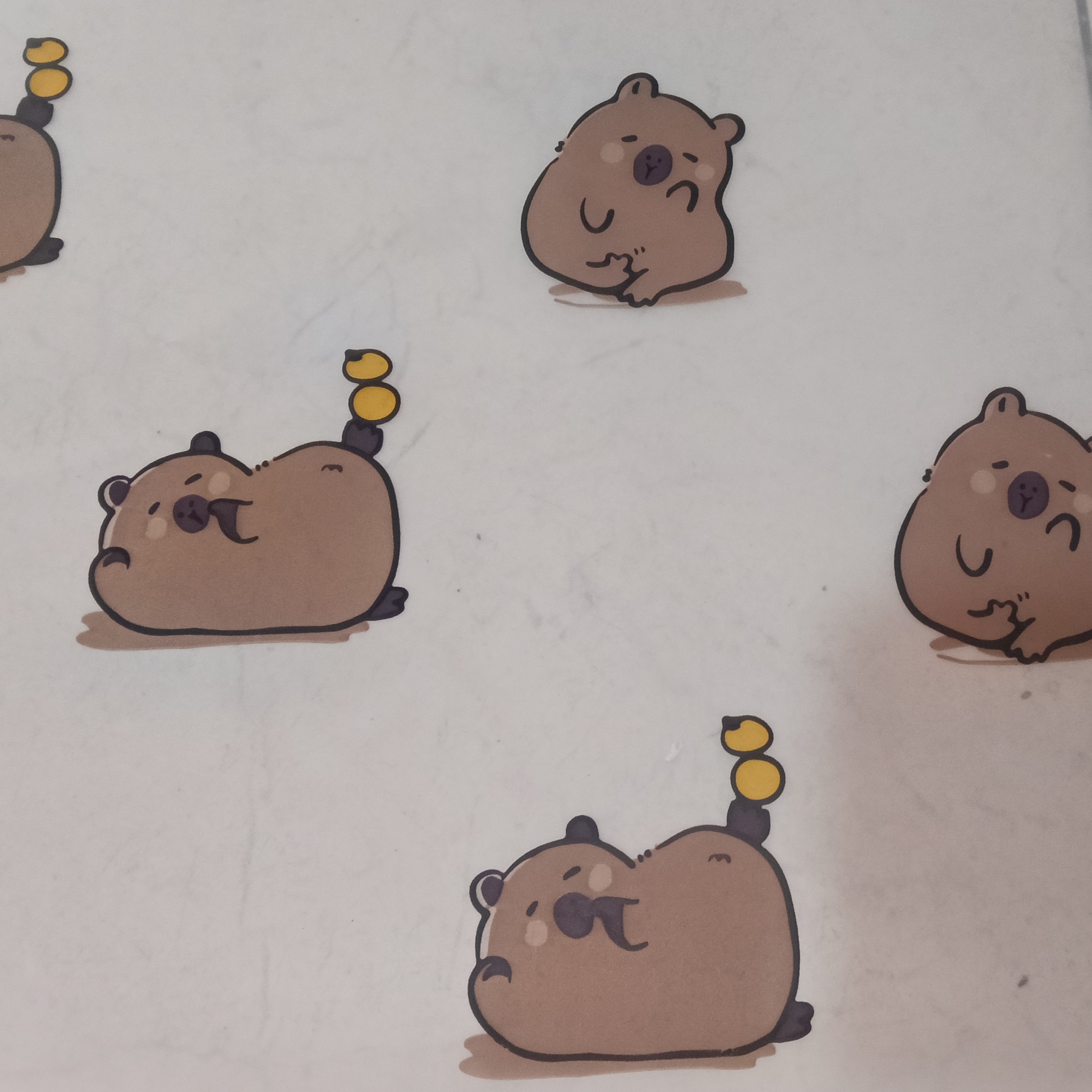Capibara