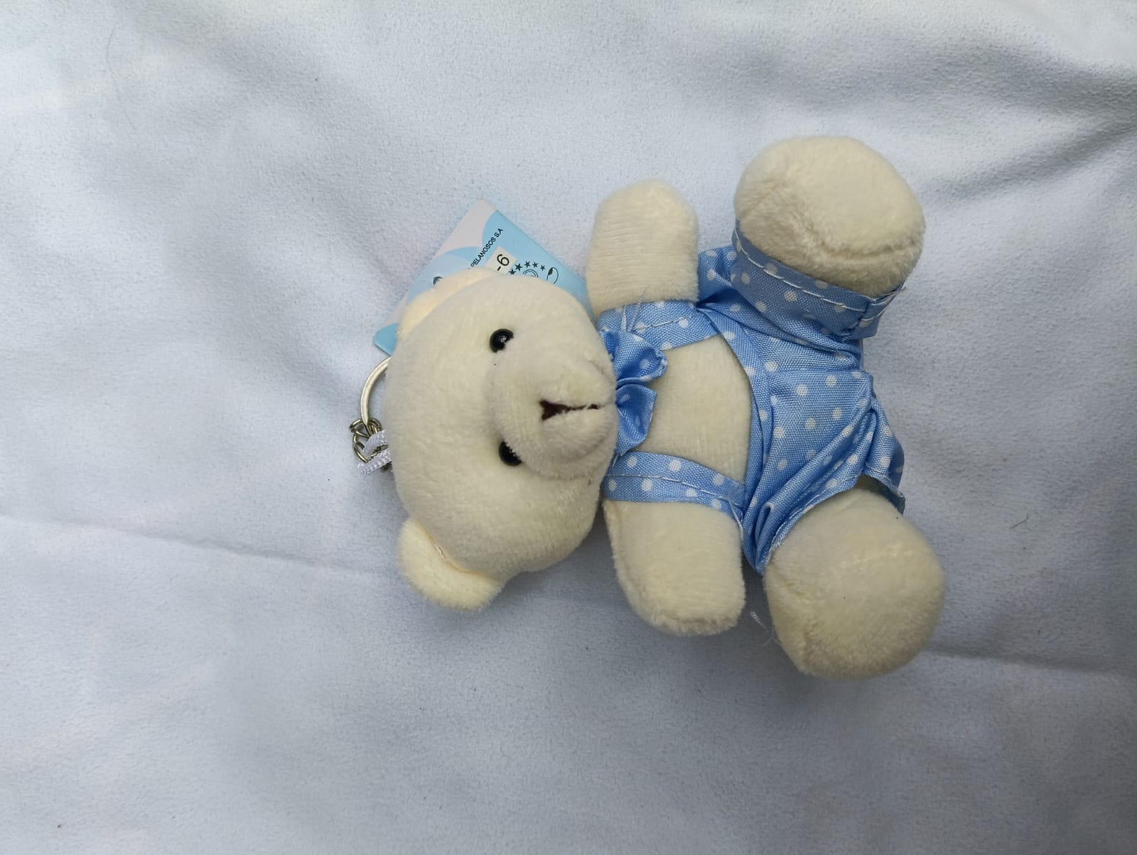 oso traje azul