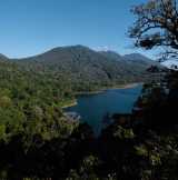 Tamblingan Lake