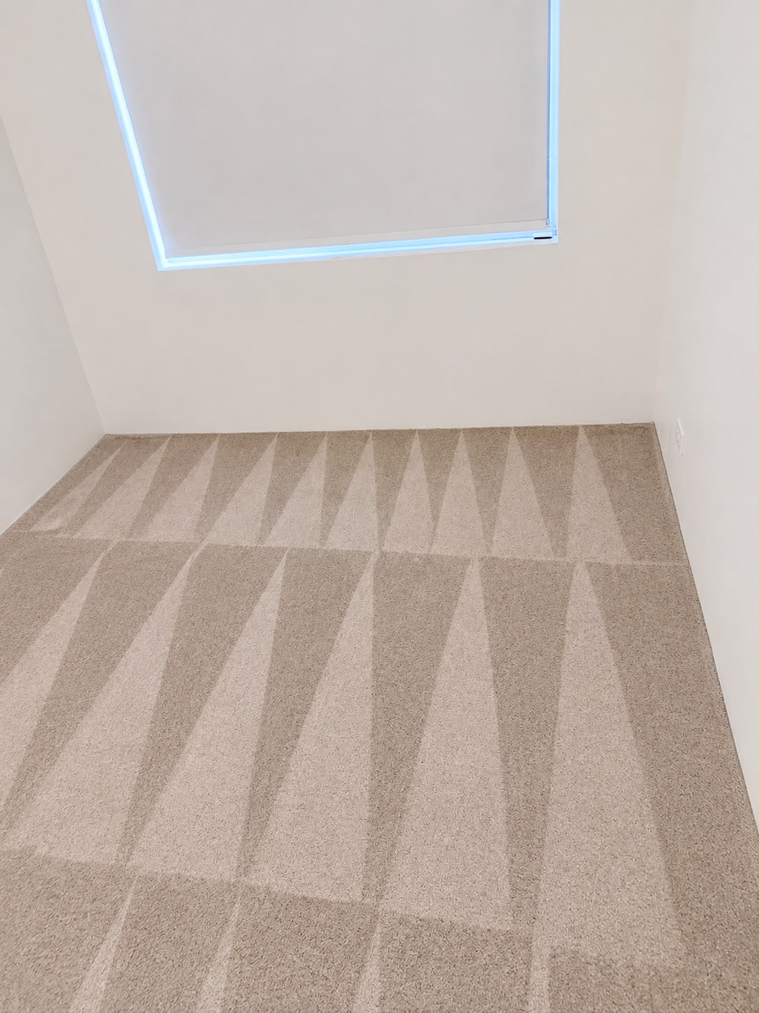 Carpet Streaming