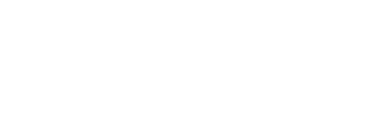 Scandinavian Airlines
