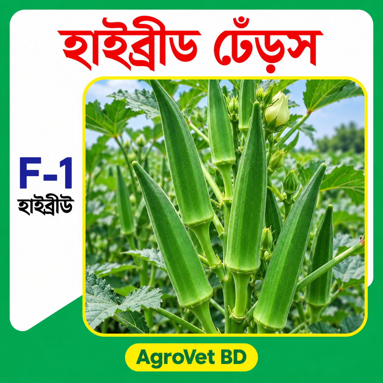 1. হাইব্রিড ঢেঁড়স
