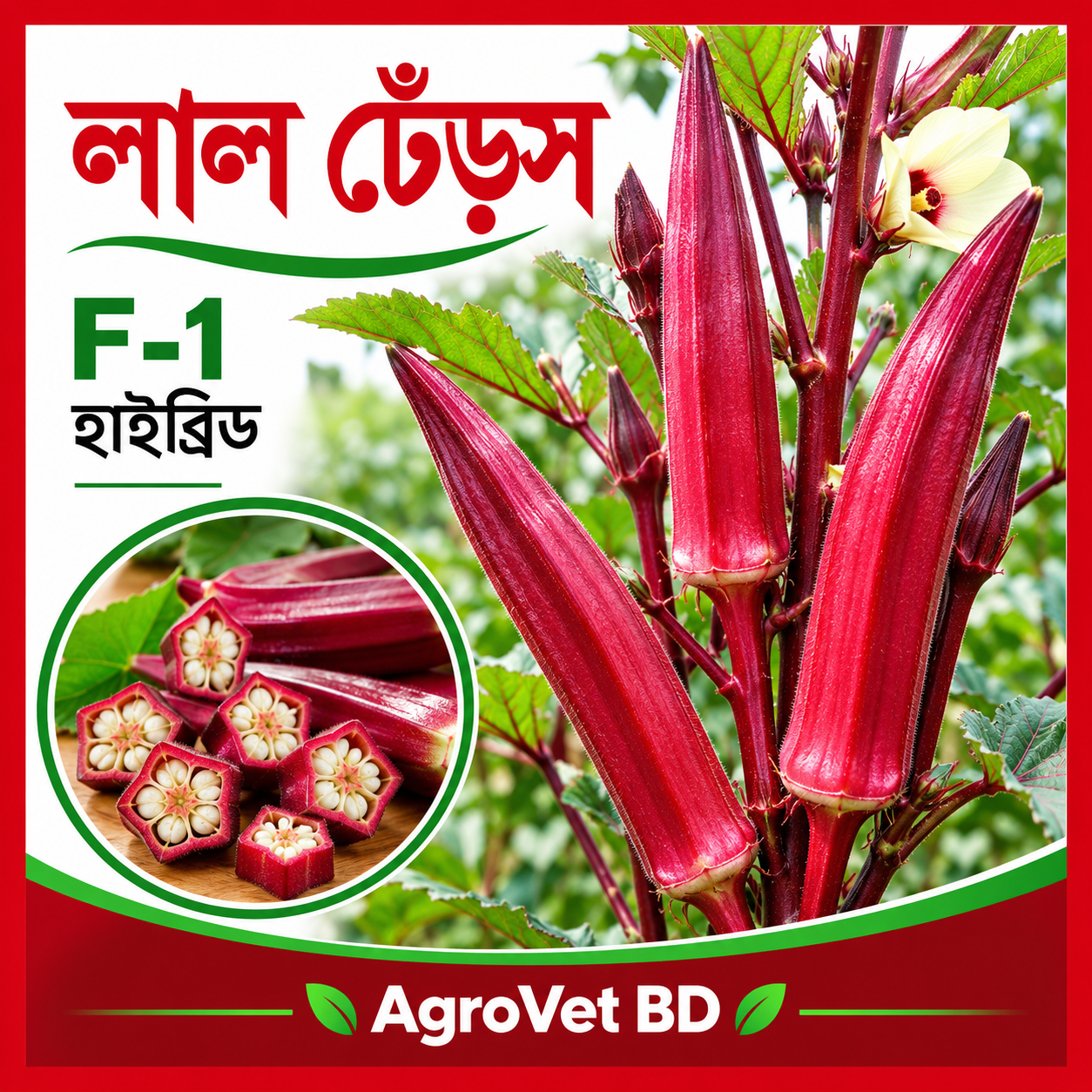 1. লাল ঢেঁড়স