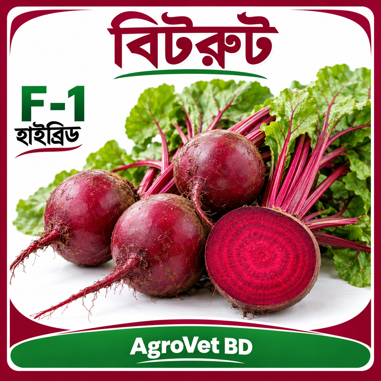 1. বিটরুট