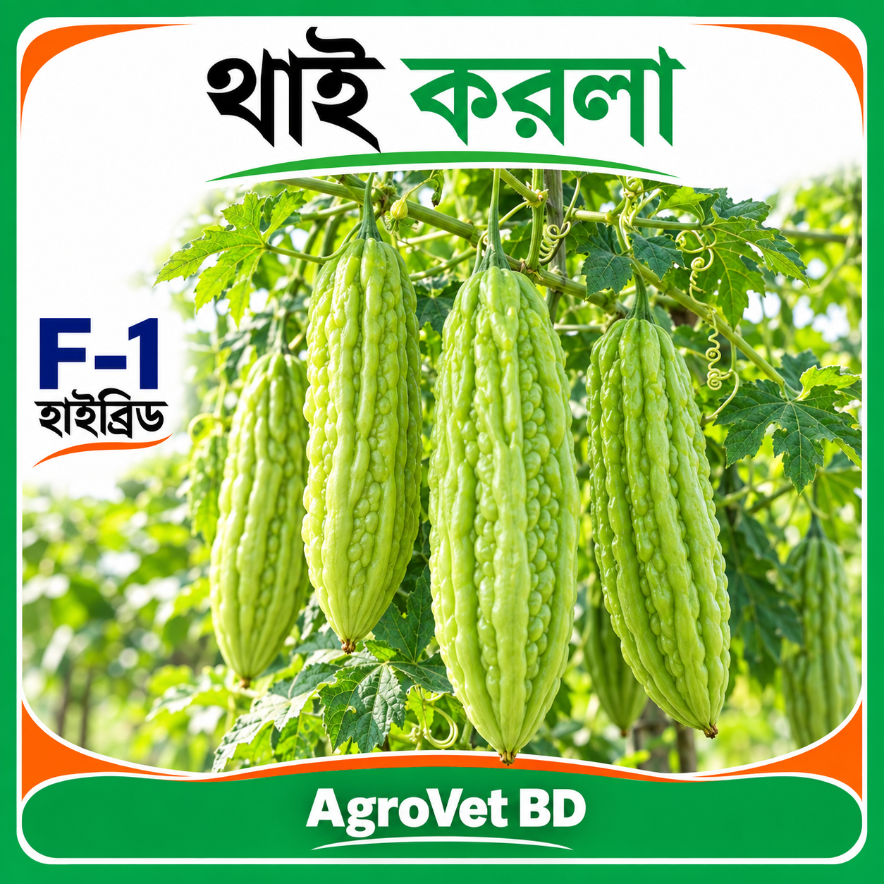 1. থাই করলা