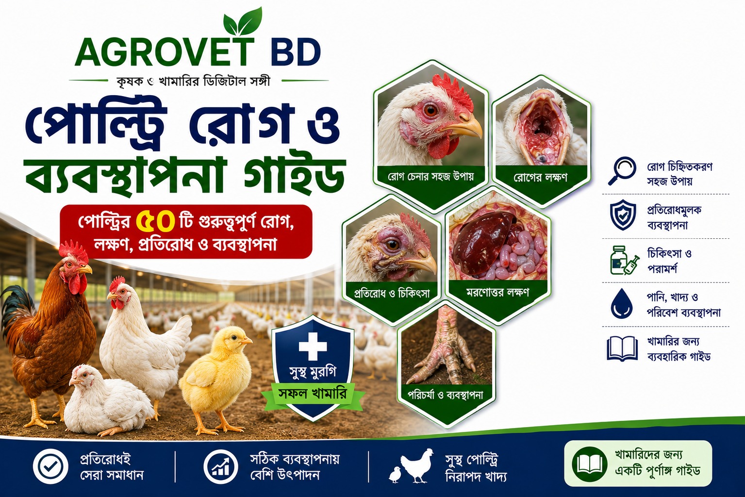 Agrovet BD পোল্ট্রি রোগ ও ব্যবস্থাপনা গাইড