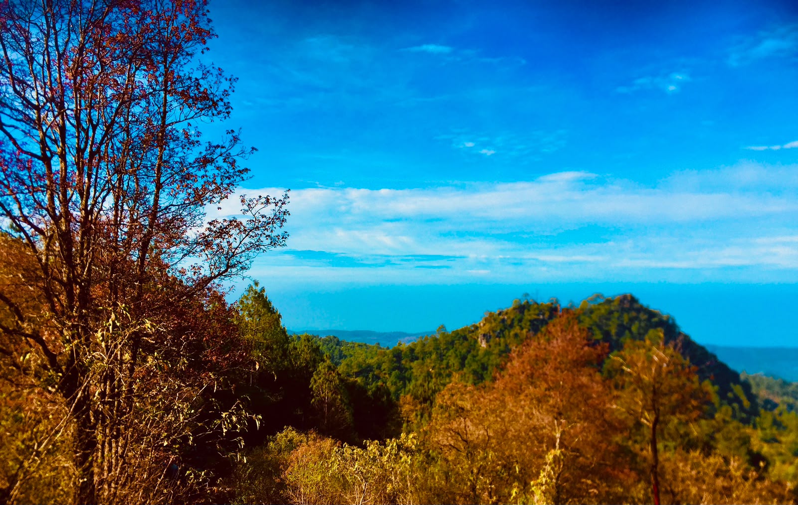 Rural Mountain Views  — photo 3