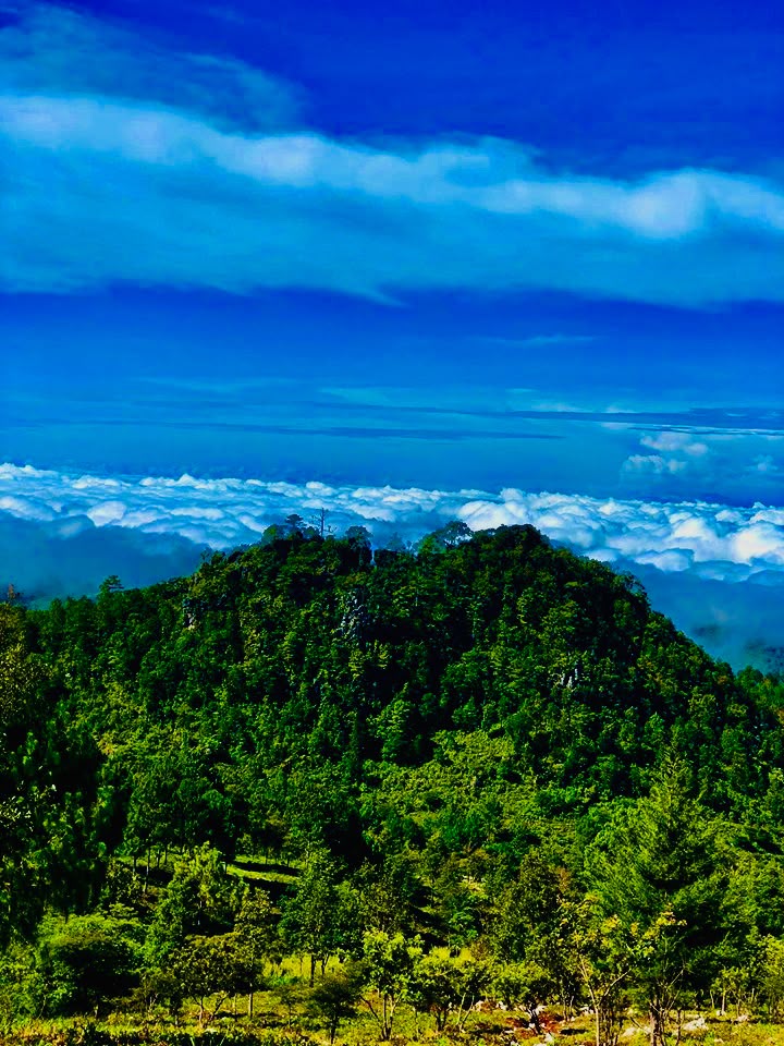 Rural Mountain Views 