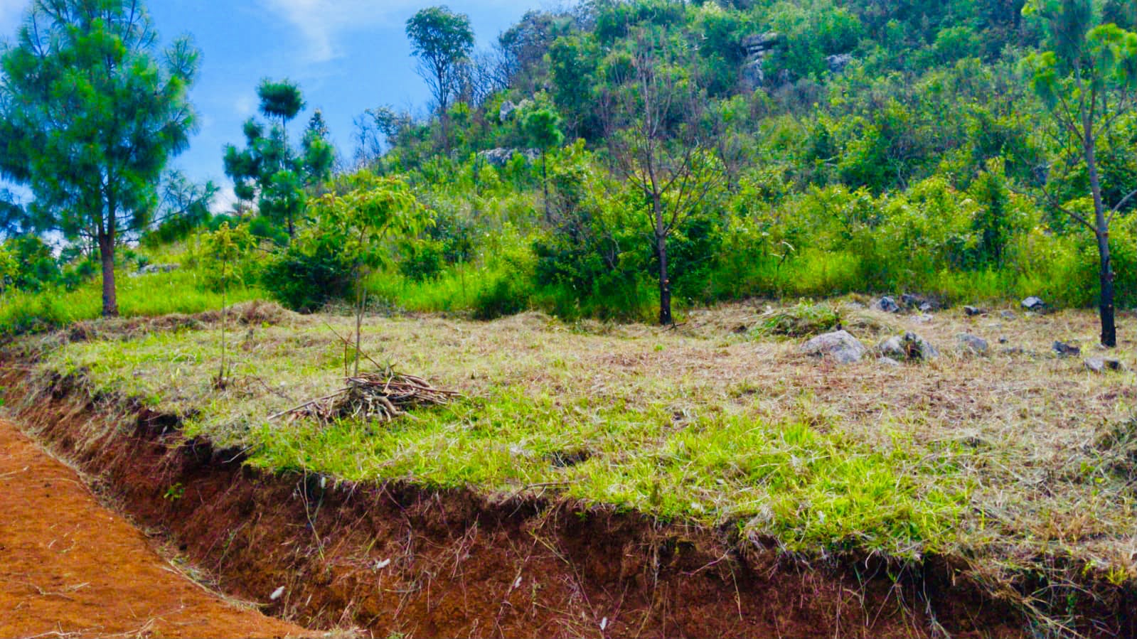 Rural Mountain Views  — photo 2