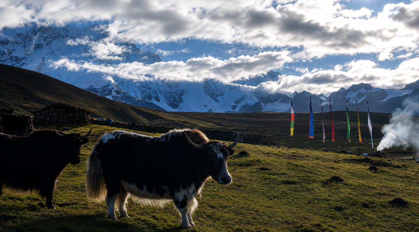 Lashar Valley Trek in Sikkim