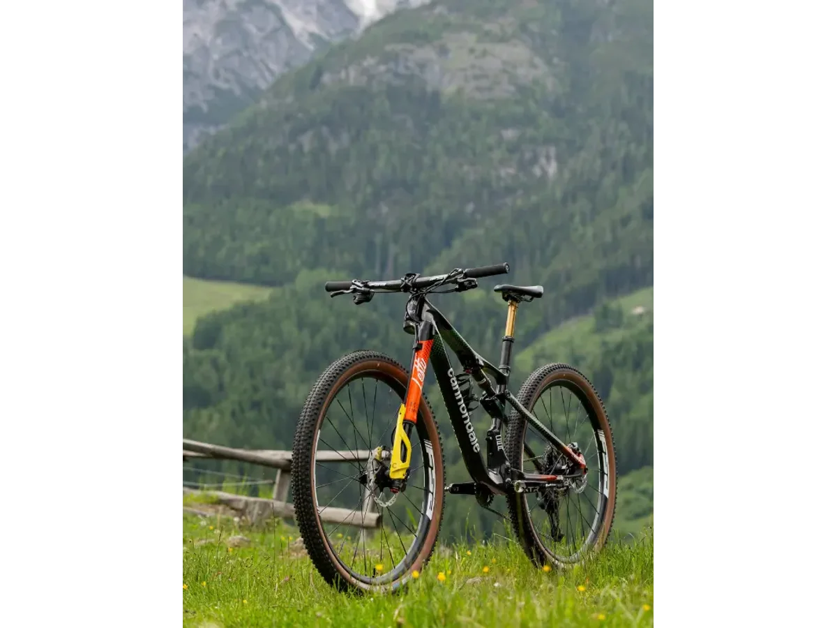 Mountain Bike XC Pro