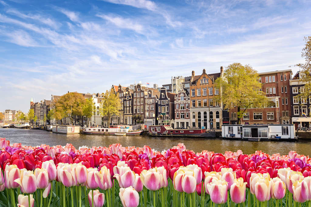 Basel to Amsterdam Rhine Bike & River Cruise - VBT Vacations