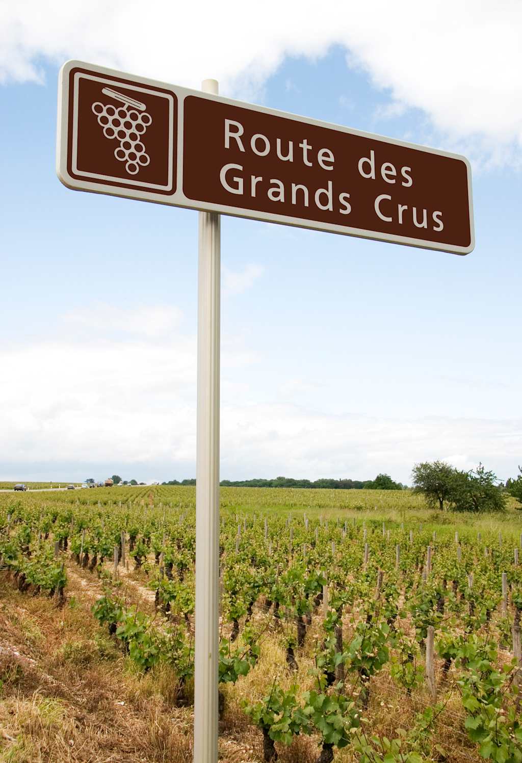 A brown road sign stands in a field of grape vines, indicating the "Route des Grands Crus" or the "Route of the Great Growths" in a rural, agricultural landscape.